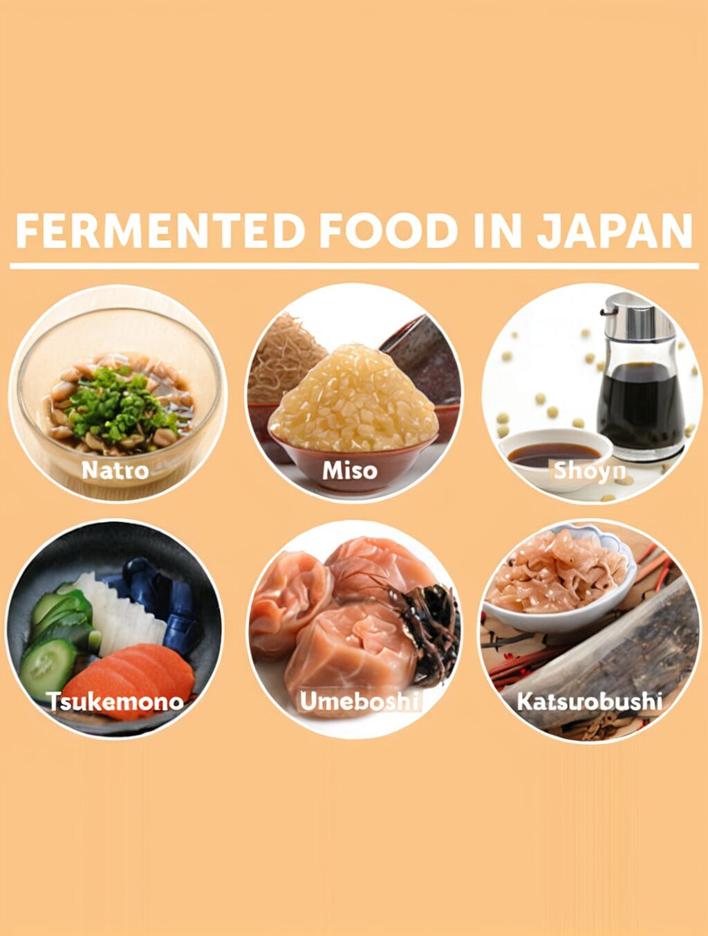 Exploring the World of Japanese Fermented Foods