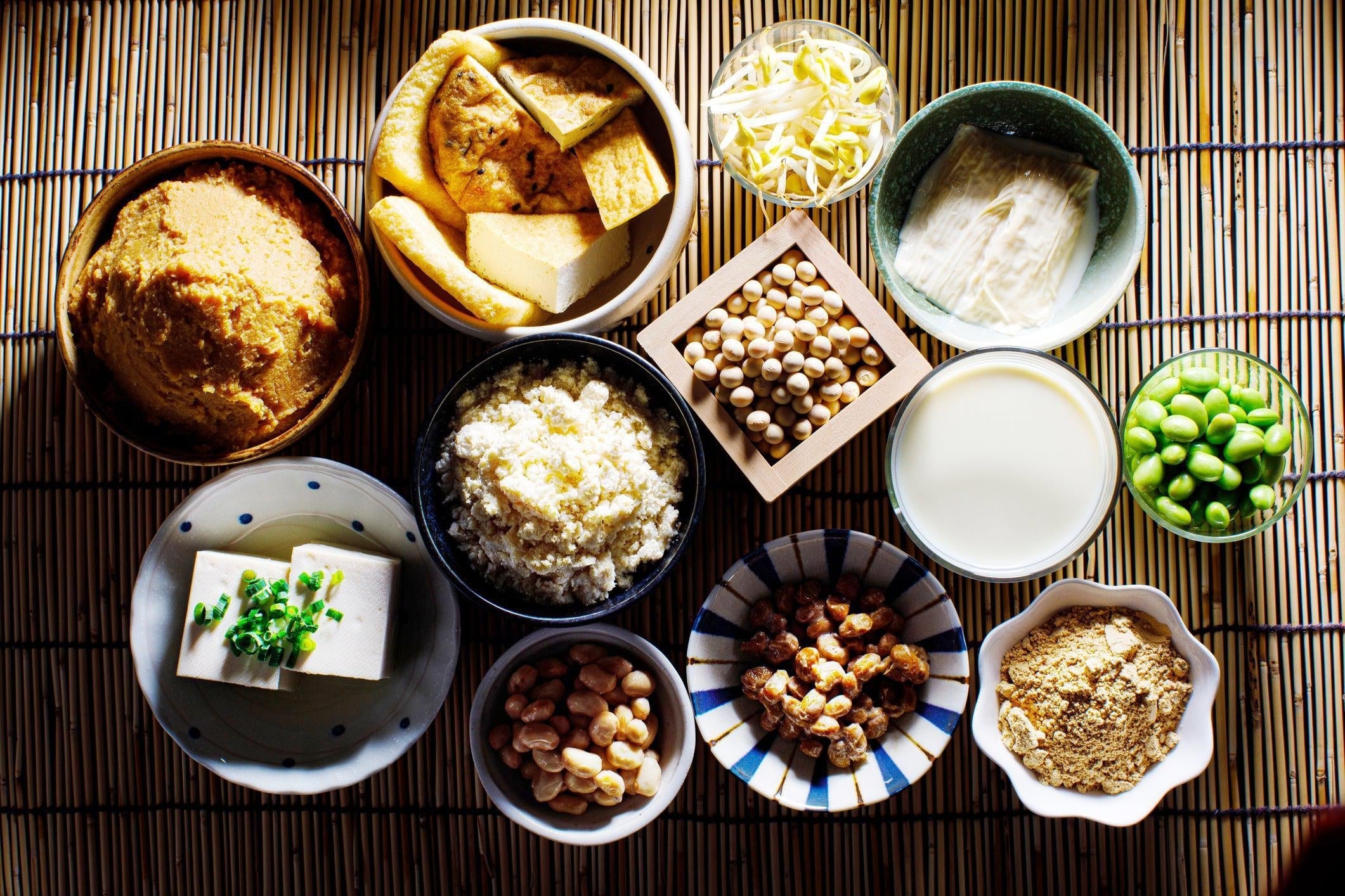 Exploring the World of Japanese Fermented Foods