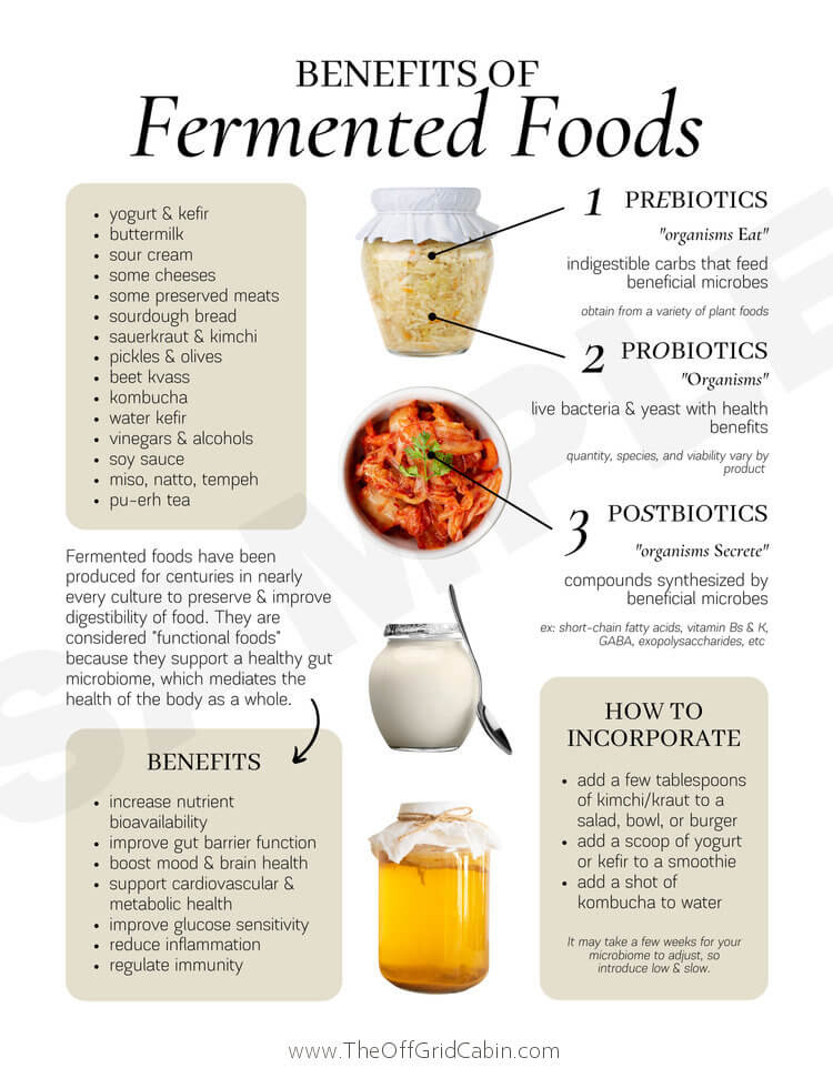 The Gut Health Guide to Fermented Foods